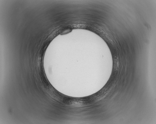 X0000115780263200912111133