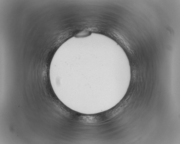 X0000115780265200912111133