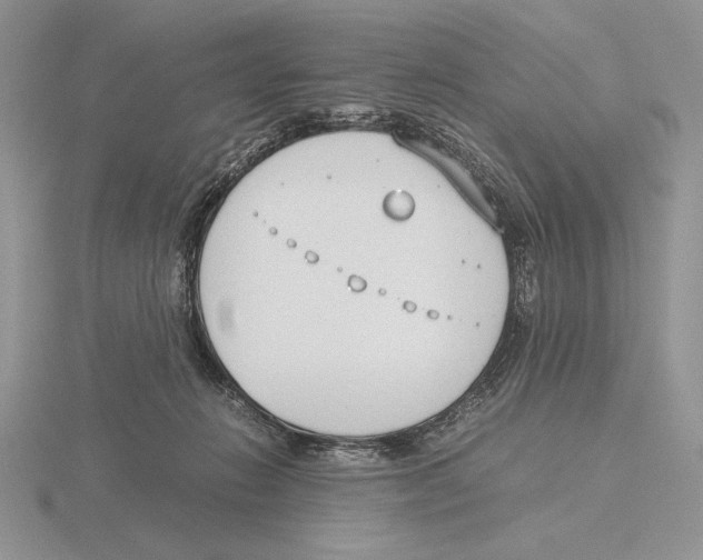 X0000115780270200912111133