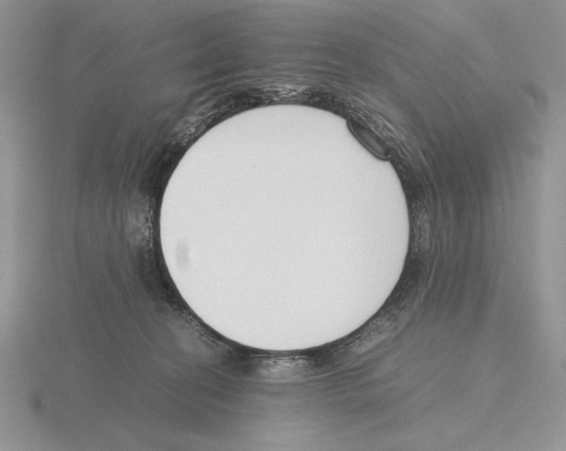 X0000115780274200912111133