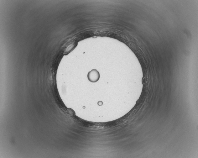 X0000115780276200912111133