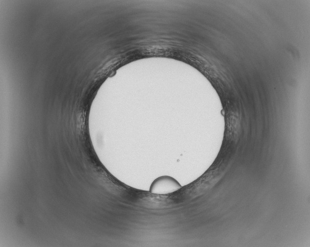 X0000115780278200912111133