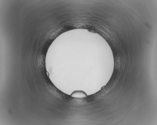 X0000115780280200912111133