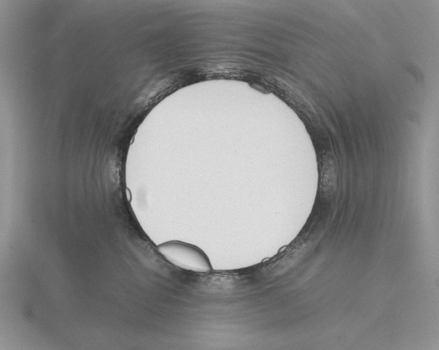 X0000115780282200912111134