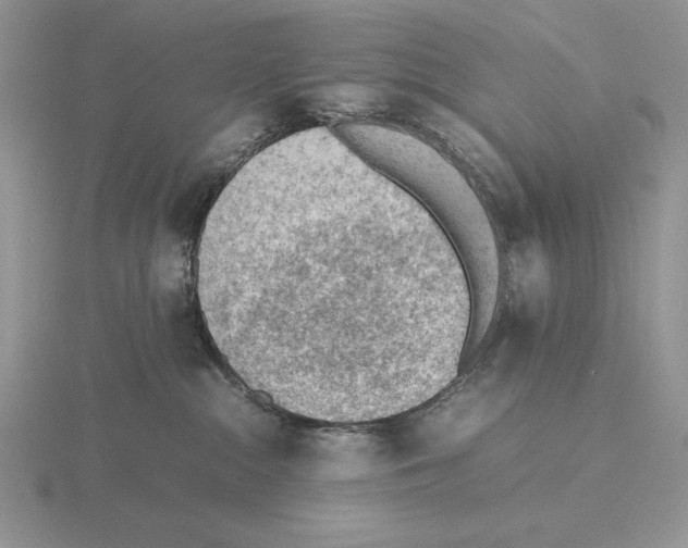 X0000115780284200912111134