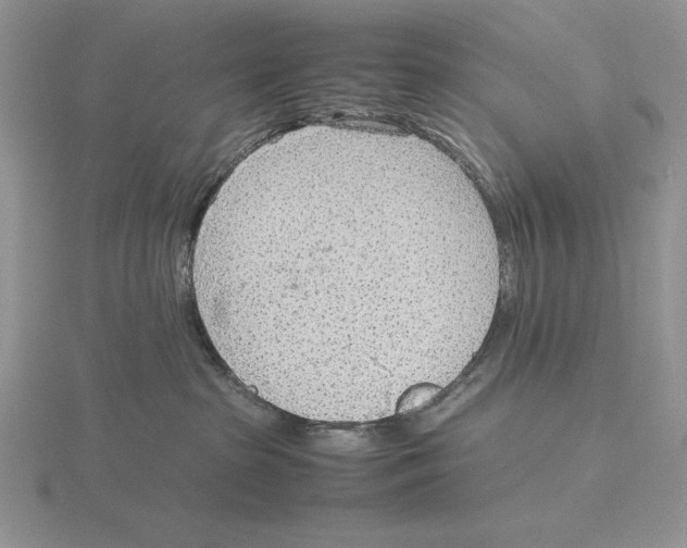 X0000115780285200912111134