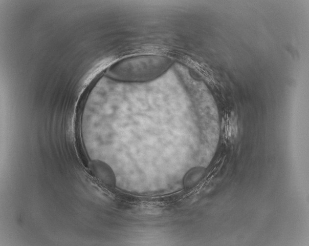 X0000115780292200912111133