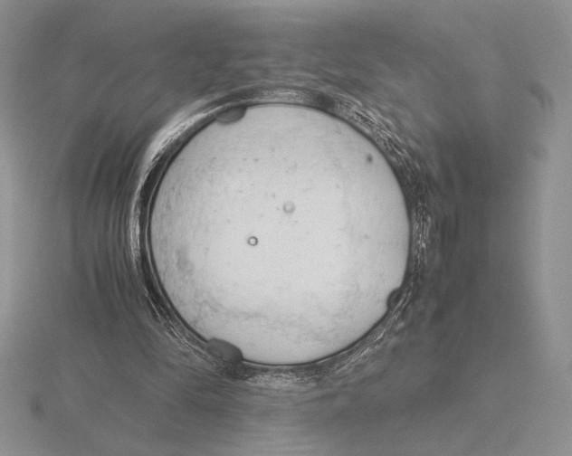 X0000115780294200912111133