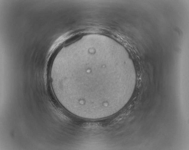 X0000115780296200912111133