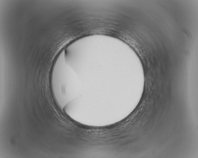 X0000115780297200912111133