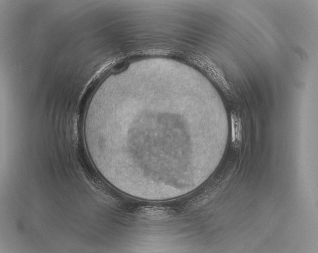 X0000115780300200912111133