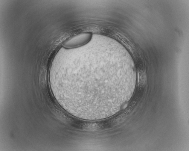 X0000115780301200912111133