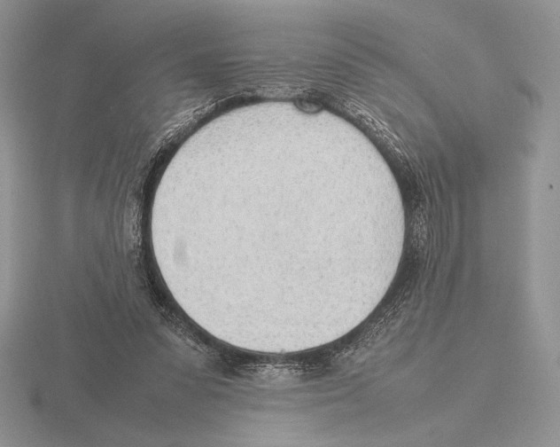 X0000115780303200912111133