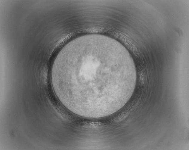 X0000115780304200912111133