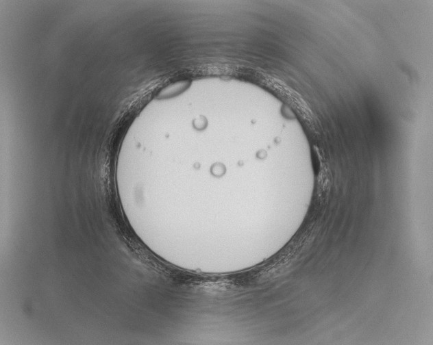 X0000115780306200912111133