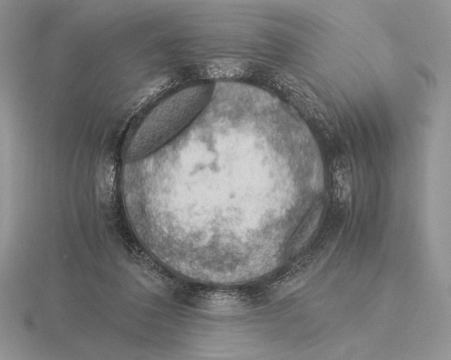 X0000115780308200912111133