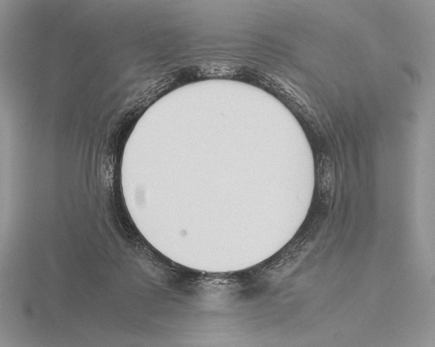 X0000115780315200912111132