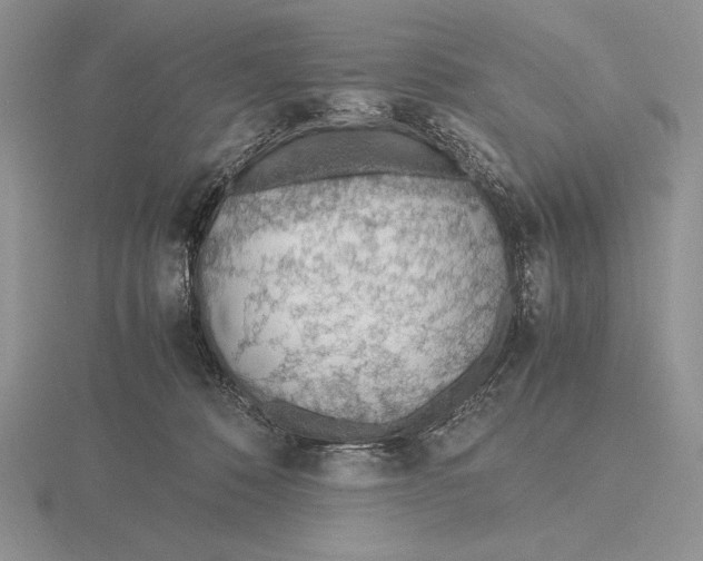 X0000115780320200912111132