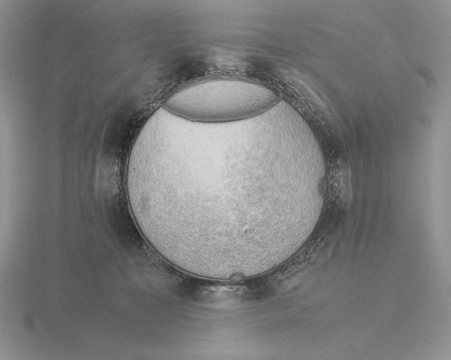 X0000115780323200912111132