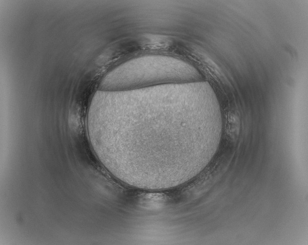 X0000115780324200912111132