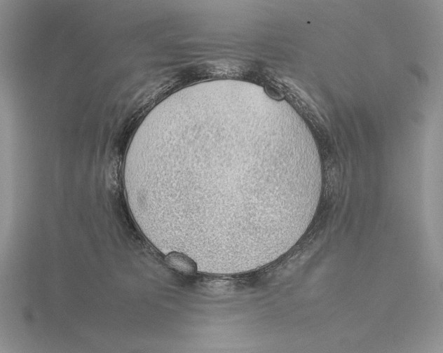 X0000115780325200912111132