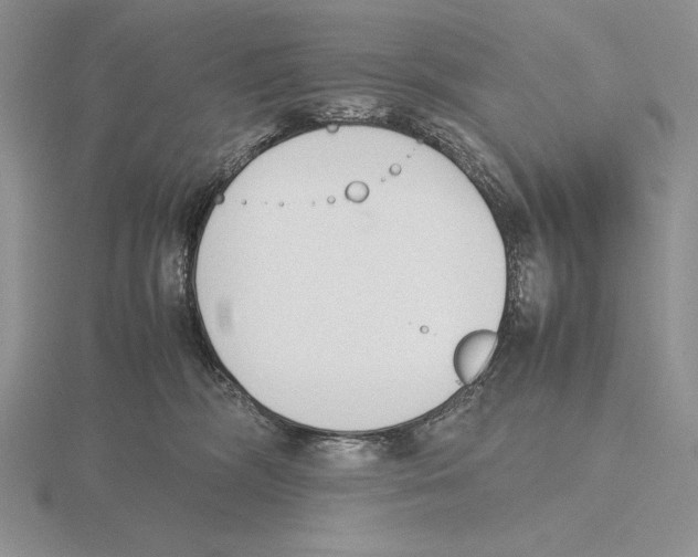 X0000115780326200912111132