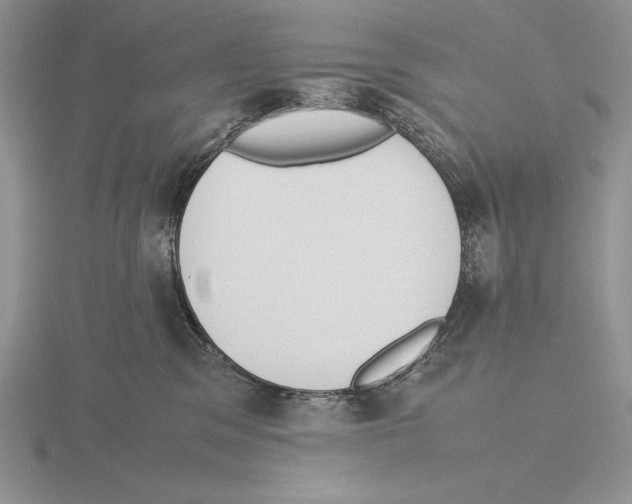 X0000115780329200912111132