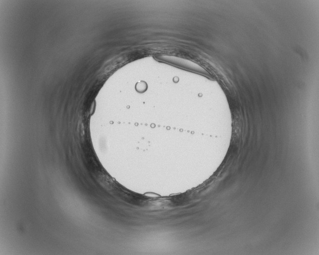 X0000115780333200912111132