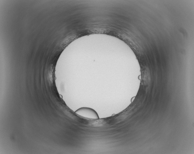 X0000115780334200912111132