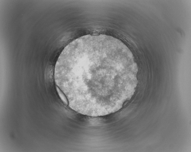 X0000115780336200912111132