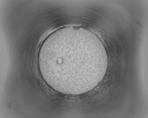 X0000115780337200912111131