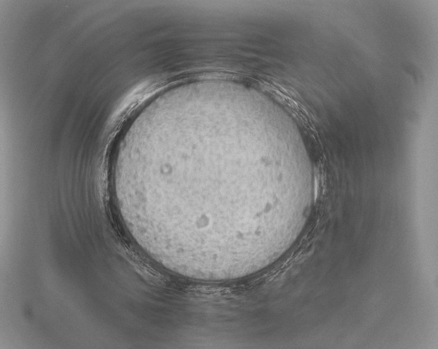 X0000115780339200912111131