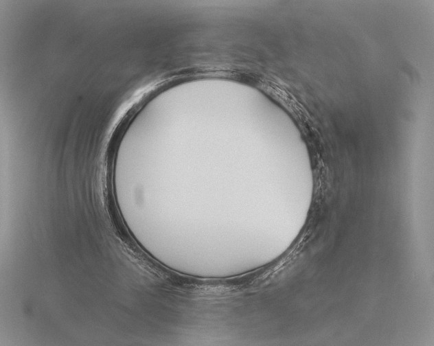 X0000115780342200912111132