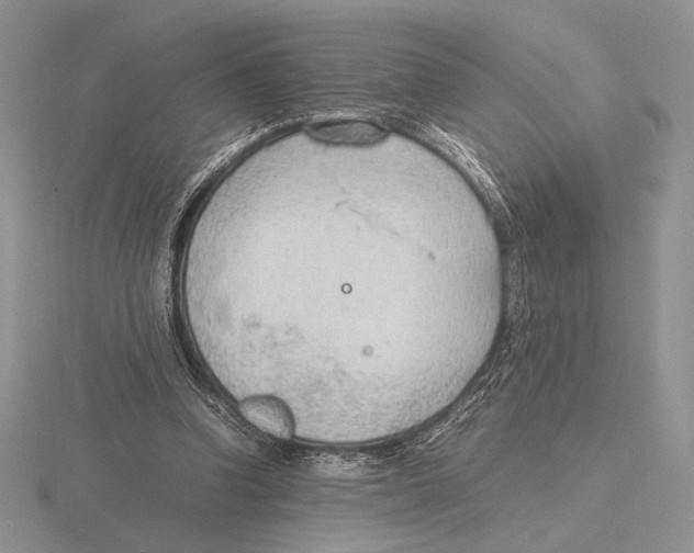 X0000115780346200912111132