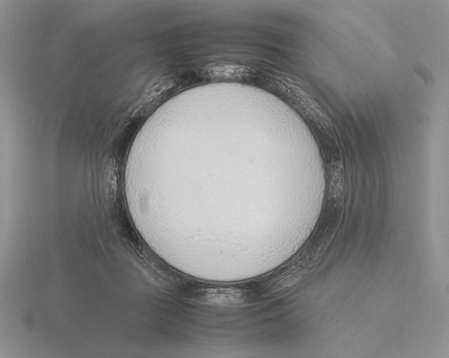 X0000115780363200912111132