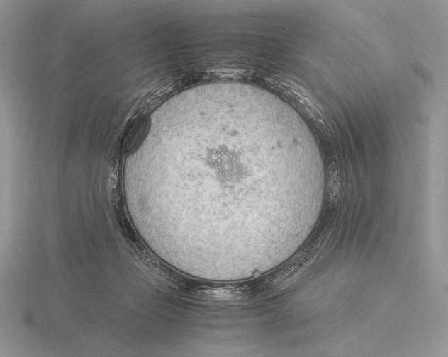 X0000115780365200912111132