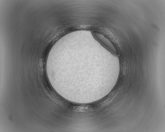 X0000115780366200912111132