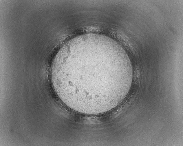 X0000115780367200912111132