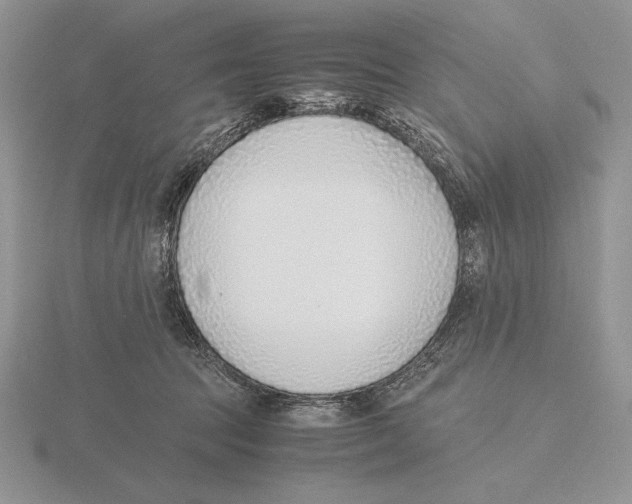 X0000115780369200912111132