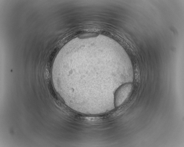 X0000115780371200912111132