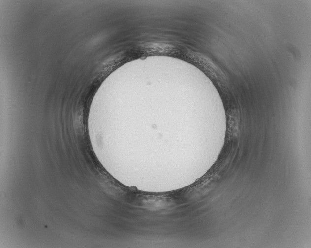 X0000115780377200912111132