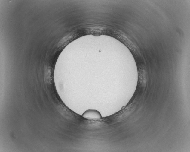 X0000115780378200912111132