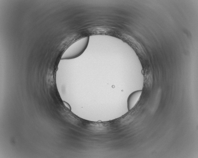 X0000115780381200912111132