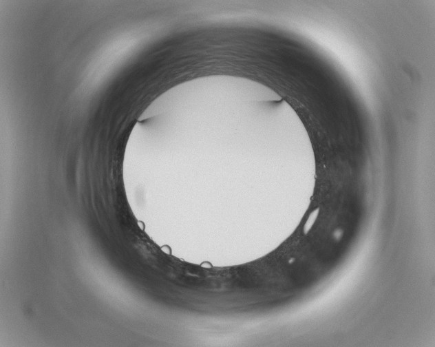 X0000115780382200912111132