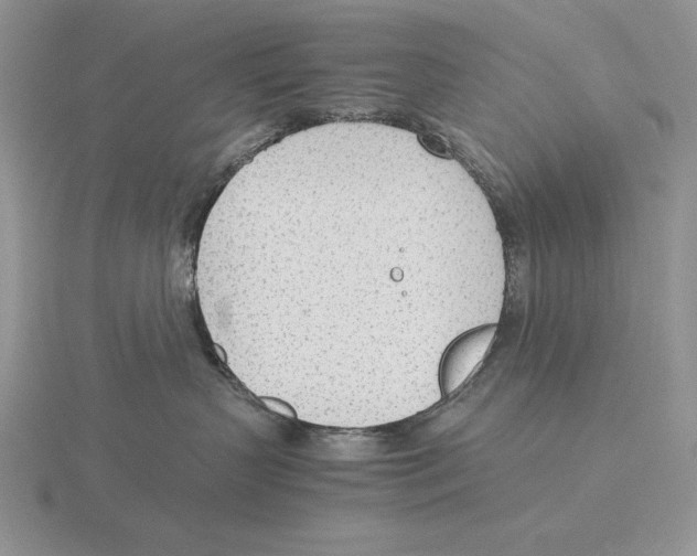 X0000115780383200912111132