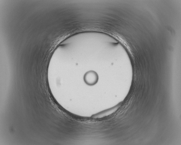 X0000115780385200912111131