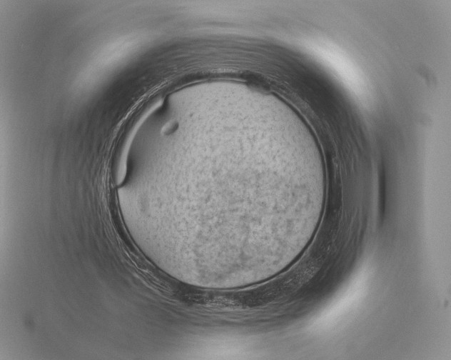 X0000115780387200912111131