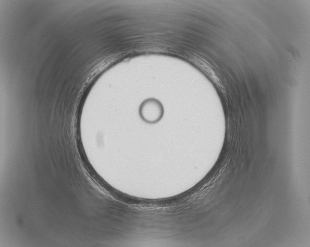 X0000115780389200912111131