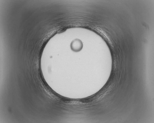 X0000115780393200912111131