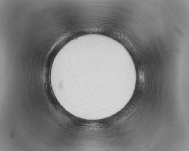 X0000115780396200912111131